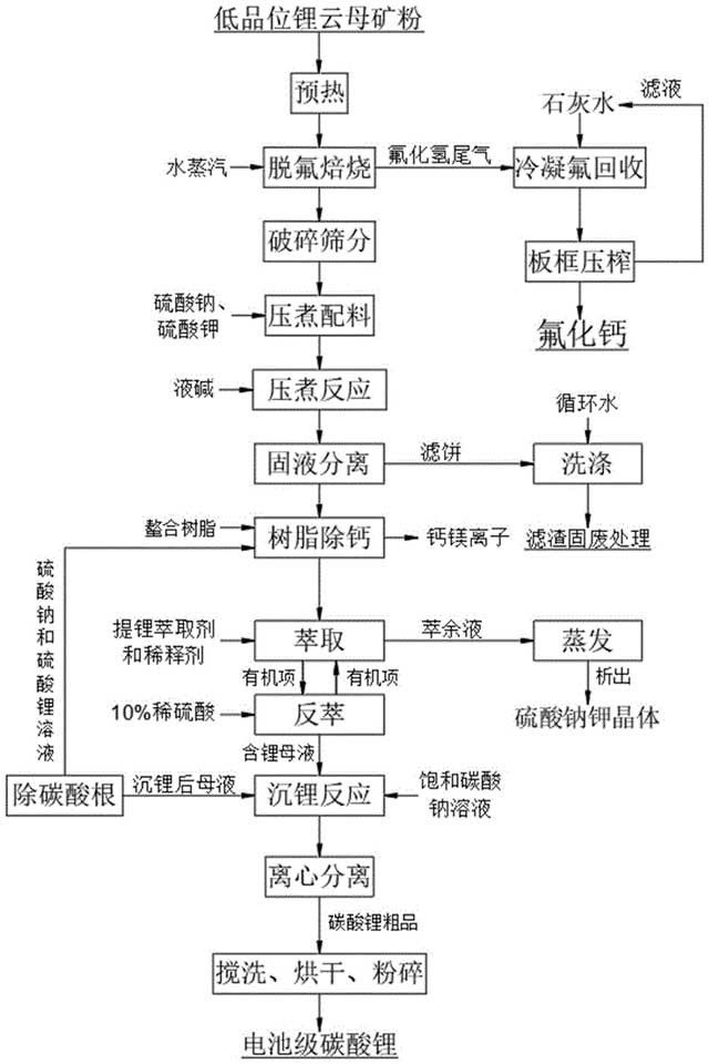 低品位锂云母焙烧压煮浸出综合法制备碳酸锂工艺