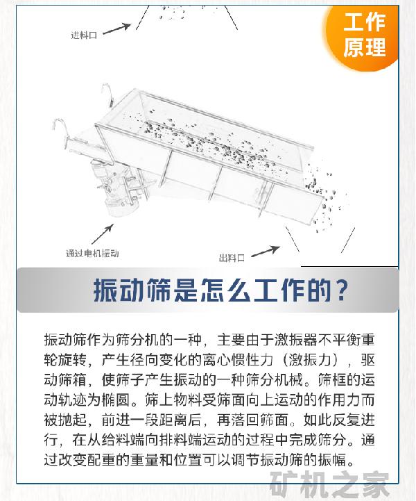 详情269-拷贝_03.jpg