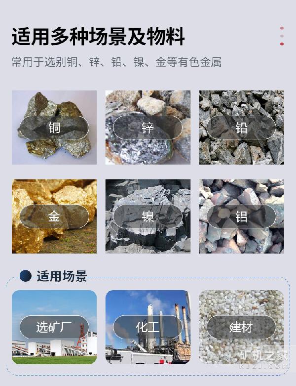 SF型浮选机适用物料