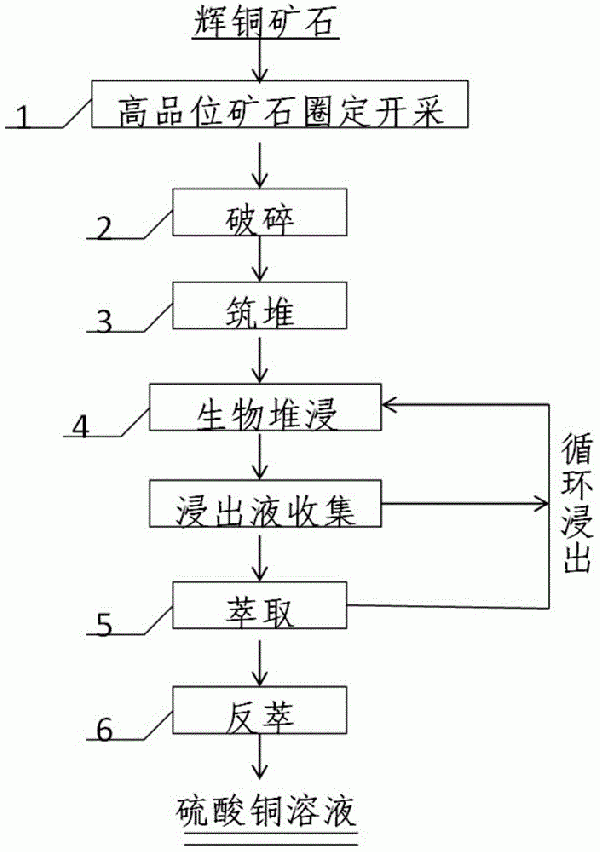 强化提取高品位辉铜矿中铜的方法与流程