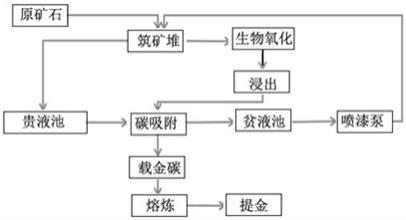 低品位金矿生物堆淋提金方法与流程