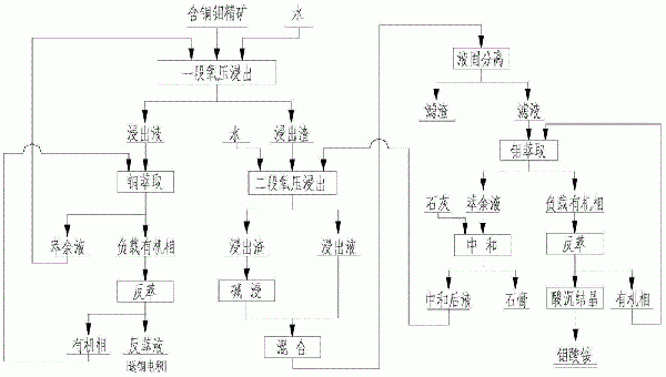 含铜钼精矿的处理方法与流程