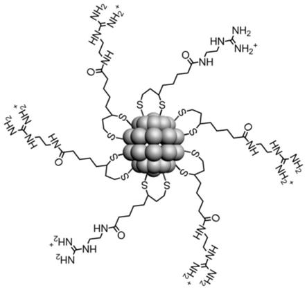 正电性金纳米簇及其制备方法与应用