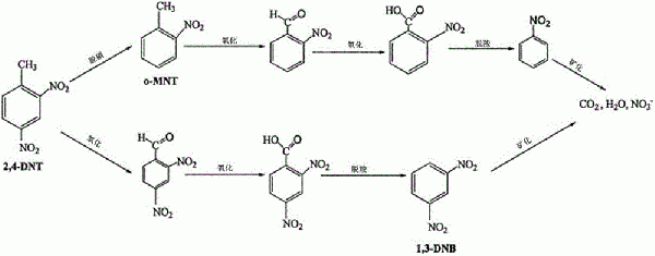 基于空化技术处理有机工业废水的装置的制作方法