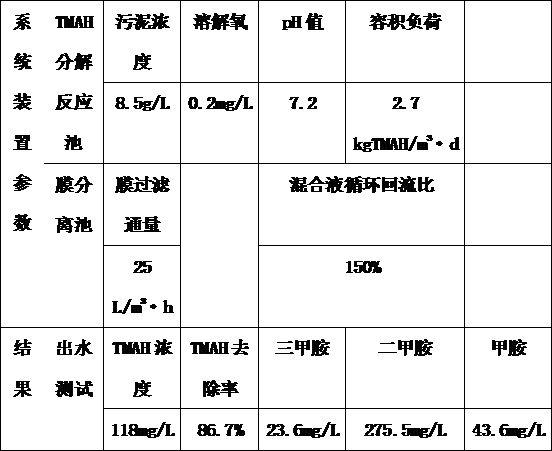 显影液废水处理系统的制作方法