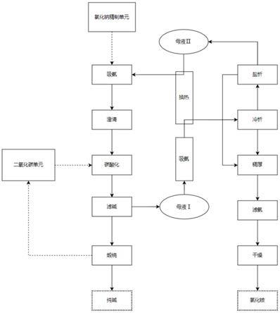 废盐资源化处理系统及其处理方法