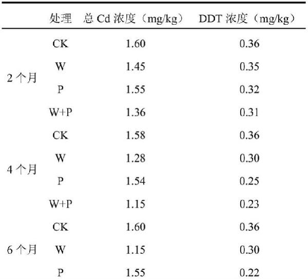 植物微生物联合修复重金属与有机物复合污染土壤的方法与流程