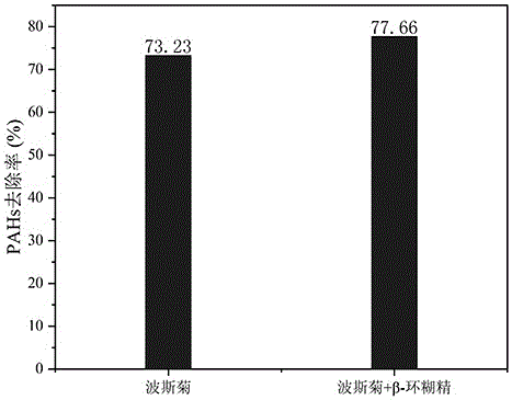 环糊精强化植物修复有机物污染土壤的方法与流程