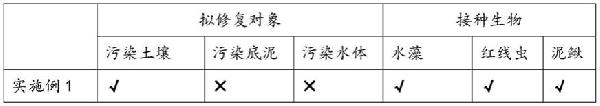 利用水生生物修复复合污染土壤、水体或底泥的方法与流程
