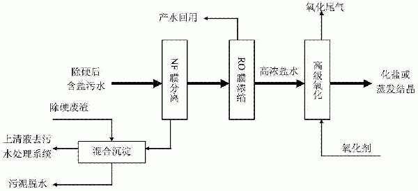 废盐综合利用的处理方法与流程