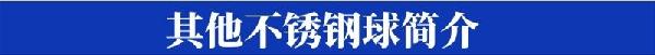 设计坞-其他不锈钢球简介.jpg