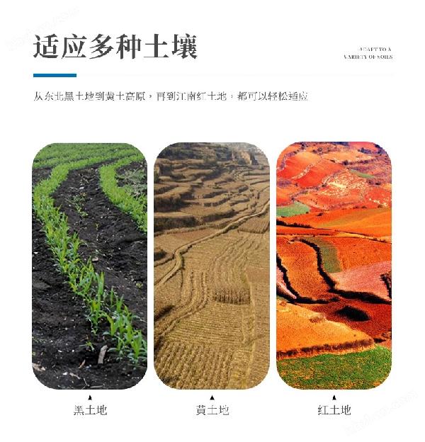 土壤墒情监测仪_看图王_06.jpg
