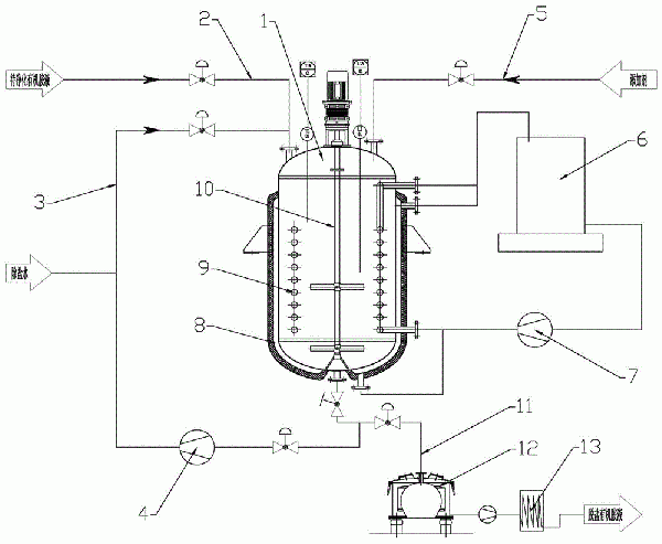 脱除二氧化硫的有机胺脱硫剂溶液净化除盐除杂装置的制作方法