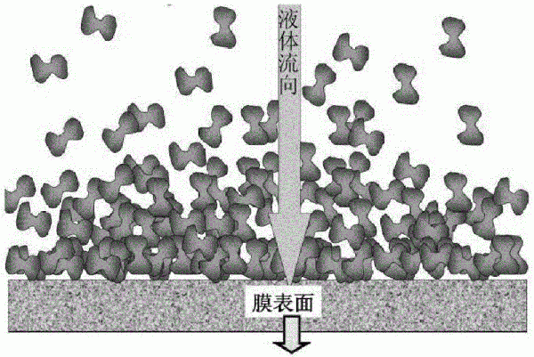 陶瓷过滤膜的制作方法