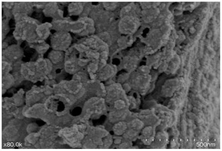 生物炭负载铁基纳米改性材料及其制备方法和应用与流程