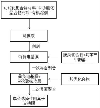 单价选择性阳离子交换膜及其制备方法与应用