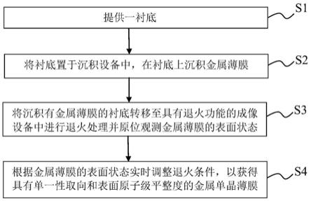 金属单晶薄膜及其制备方法