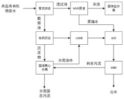 高盐高有机废水处理装置