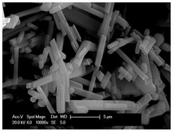 双空位石墨相氮化碳光催化剂及其制备方法