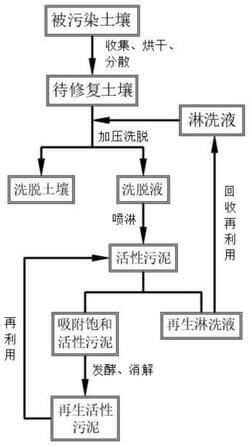 利用活性污泥修复多环芳烃污染土壤的方法