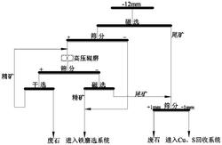 伴生硫化矿的磁铁矿高效预选工艺