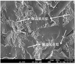 具有粗晶-细晶复合显微结构特征的氧化铝陶瓷及其应用