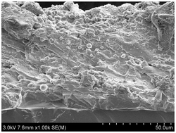 适用于太阳能晶硅片的硅锭及其制备方法、太阳能电池片及其制备方法