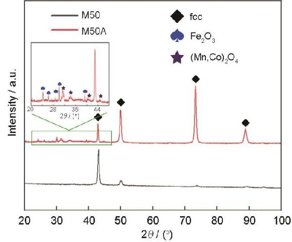 MnNiCoCrFe多孔高熵合金的电催化析氧性能