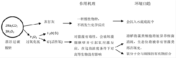 漂浮过碳酸钠颗粒控藻效果应用研究