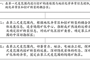 基于多深度尺度的花岗岩区钨锡矿勘探方法