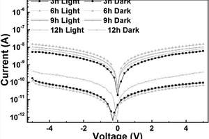 基于CsPbBr<sub>3</sub>全无机钙钛矿纳米线的可见光光电探测器及其制备方法