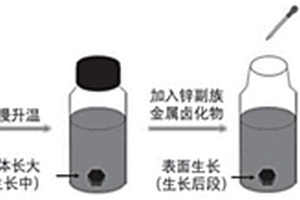 无甲胺锡基钙钛矿单晶的制备方法和光电探测器