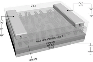 基于钙钛矿-碳纳米管体异质结的宽谱光电探测器