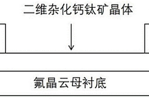 二维有机无机杂化钙钛矿晶体光电探测器及其制备方法