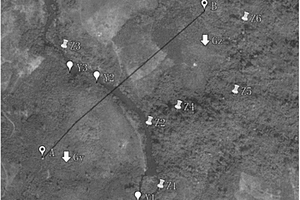 基于卫星地图的由远及近的工程地质调查测绘方法