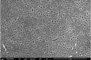 多孔增强高性能全无机钙钛矿可见光探测器制备方法