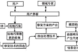 石油污染地下水的原位修复的决策方法