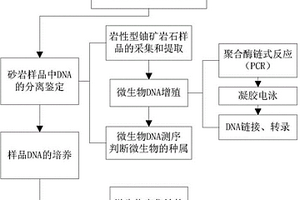 砂岩型铀矿床中微生物与铀成矿关系的研究方法