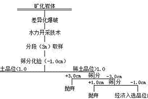 差异化爆破水力开采细网脉稀土矿化岩石的方法