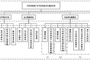 基于污染过程的场地地下水污染风险评价方法
