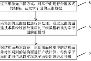 用于掌子面结构面的信息采集与分析方法及装置