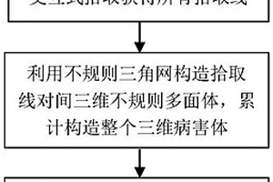 基于不规则三角网和空间几何法的地下病害识别方法