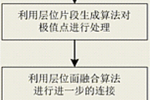 基于多层次框架的三维全层位自动追踪方法