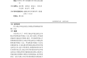 用于确定环境边坡危岩体稳定性的快速评价施工方法