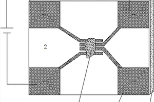 基于Cs<sub>2</sub>AgBiBr<sub>6</sub>薄膜的光电导型探测器及制备方法