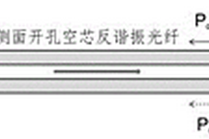 新型的准分布式光纤气体探测方法