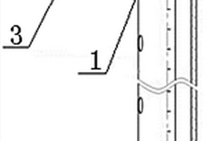 带螺旋口探针的井下接地极