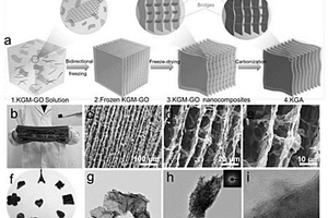 微纳层状空间微生物矿化及其作用机制的分析方法