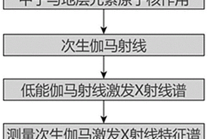 基于脉冲中子源的金属矿产测井设备与方法