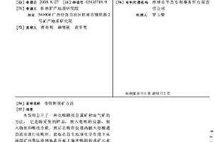 电吸附找矿方法